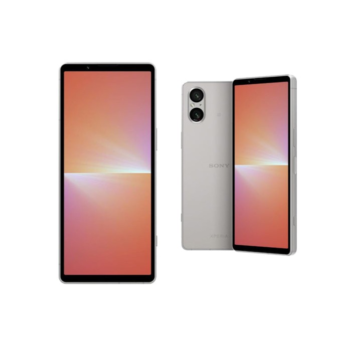 Смартфон Sony Xperia 5 V 8GB/256GB (платиновое серебро)