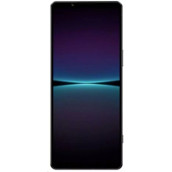 Смартфон Sony Xperia 1 IV 12GB/256GB черный (XQ-CT72)