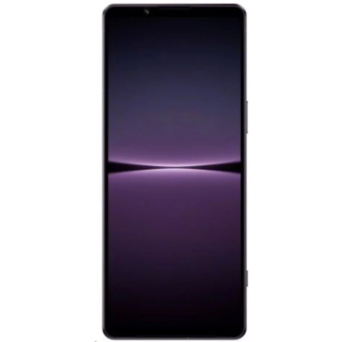 Смартфон Sony Xperia 1 IV 12GB/512GB фиолетовый (XQ-CT72)