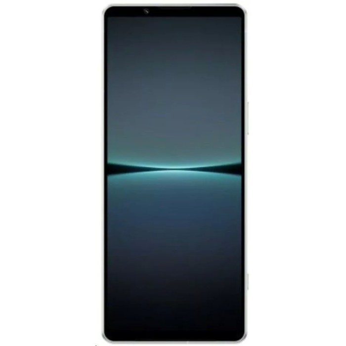 Смартфон Sony Xperia 1 IV 12GB/256GB белый (XQ-CT72)